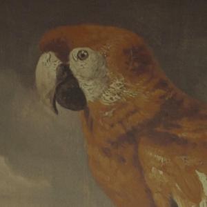 亚洲AV㊙️无码一区桃乃
